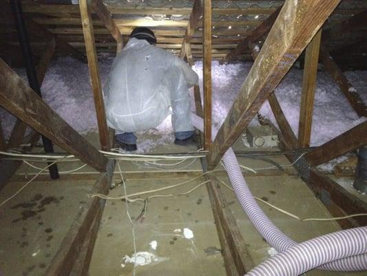 Attic insulation installation