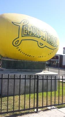 The Giant Lemon of Lemon Grove