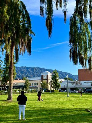 Such a beautiful day today with great views of the SG mountains from under the big wispy tree!