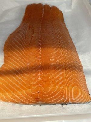 Fresh salmon