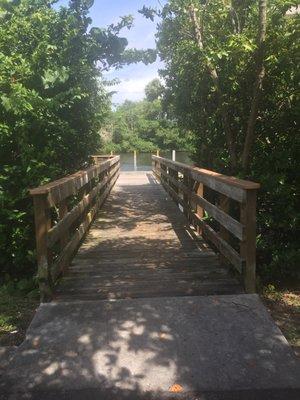 boardwalk out to the deck area