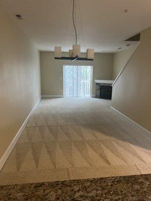 Living room carpet cleaning