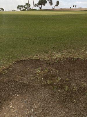 The nicest green on the course. No lie.