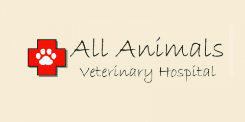 All Animals Veterinary Hospital