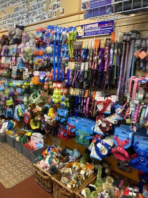 Lots of harness and leash styles to make your walks smoother, plus all kinds of fun toys to keep your pet enriched.