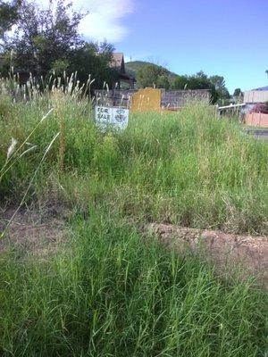 In the overgrown patch of grass in front of an abandoned home for sale for way too much, you can see Bisbee Realties sign