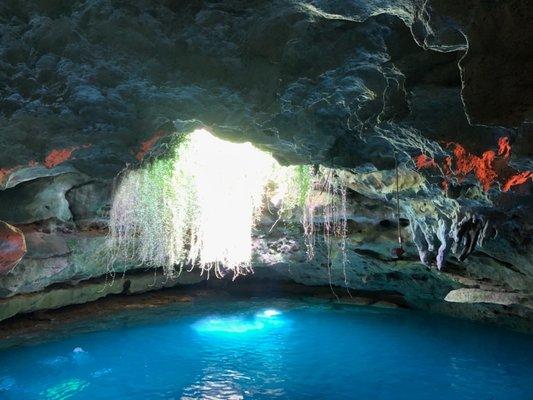 Open Water Certification at Devil's Den