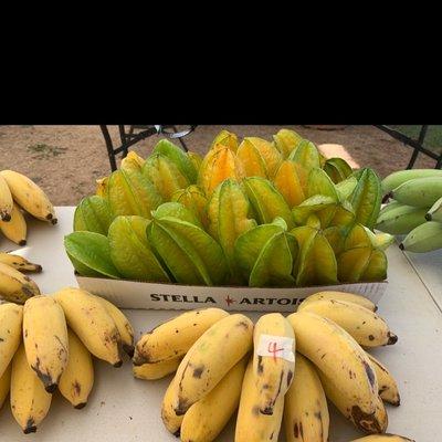 10/16/22 apple bananas & star fruit