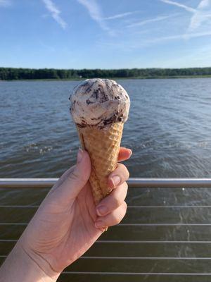 Moose tracks in a cone