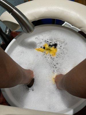 A squash blossom in my pedicure water....