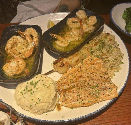 Ultimate feast....salmon, scallops, shrimp scampi