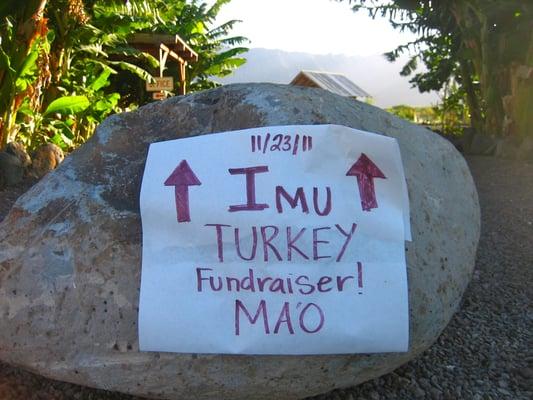 Imu Turkey fundraiser