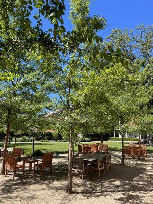 The outdoor courtyard