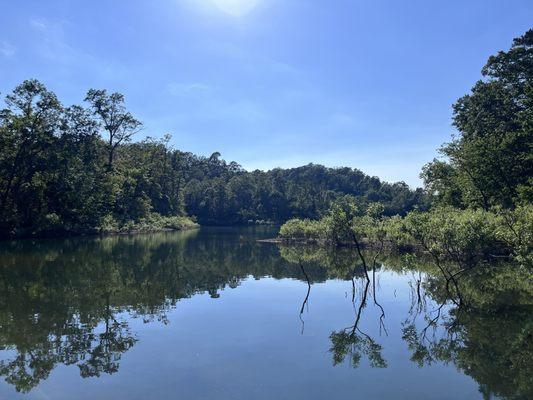 Lake view