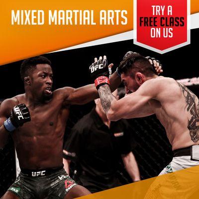 Wanna try a Free Mixed Martial Arts Class? Give us a call Today