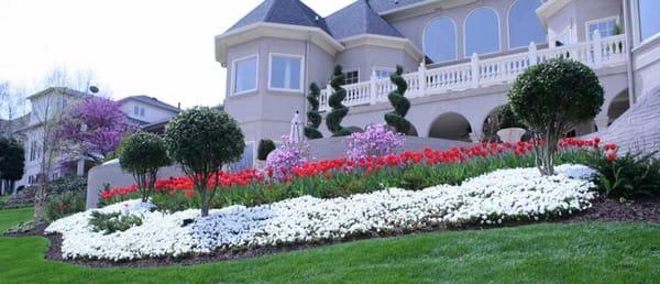 Landscaping and Spring Color Flower Beds