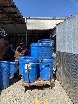 Just finished loading bins and they're ready to count