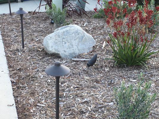 Landscape Lighting