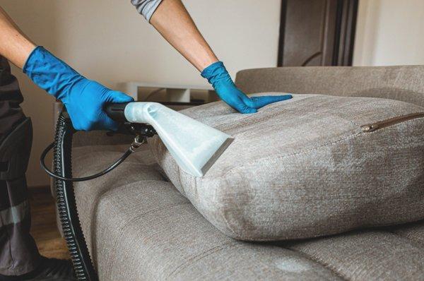 Upholstery cleaning available. Request a free quote