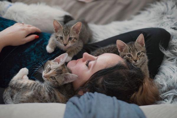 Lashes and kittens