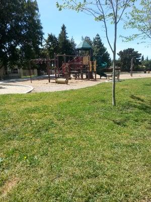 The playground at Patterson Park.