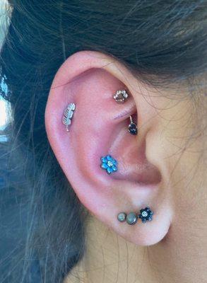 fresh rook and conch, plus an old helix that Katie used a taper to stretch back open