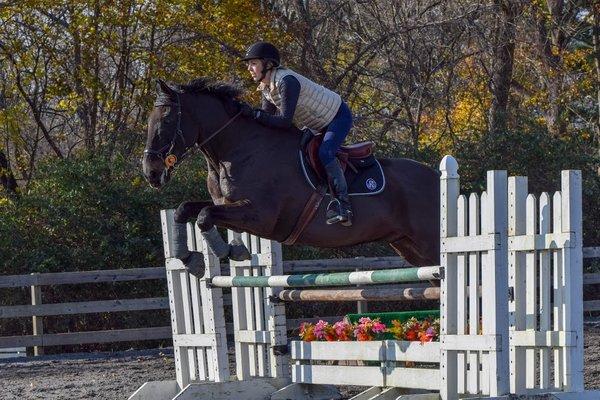 Radnor Hunt Stables