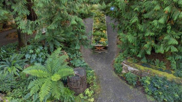 Fern table in the Renaissance Garden at Heronswood