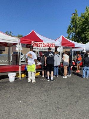 San Leandro Cherry Festival