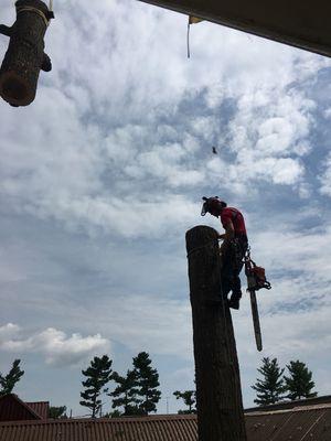 Climber silhouette on a recent crane removal job.