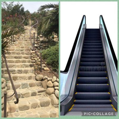 Come on, Ventura Botanical Gardens! It's time to get rid of these old timey stairs & replace them with 21st Century Escalator Technology.