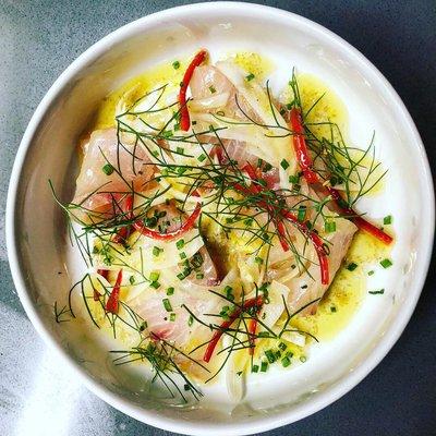 Hamachi crudo special