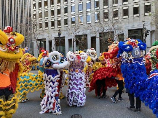 SF CNY Parade - Year of the Tiger 2022 - Lion Dancers