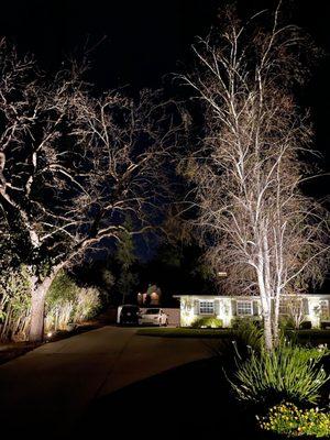 Front Yard Lights