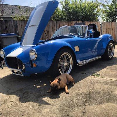 1967 AC COBRA