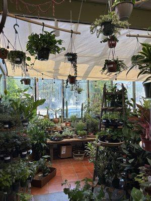 Plant section