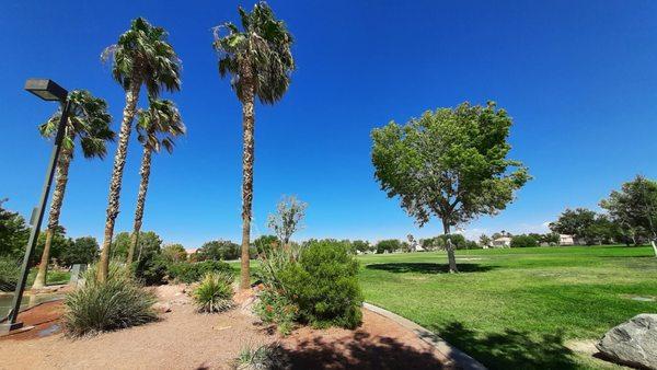 Attractive landscaping adorns Duck Creek Park.