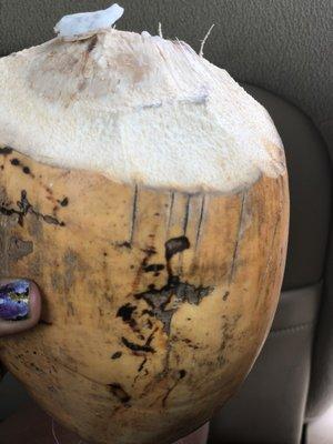 Coconut wata