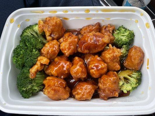 General Tso Chicken, tasted like rubber, like as if they bought this as a frozen dinner and just heated it up for customers