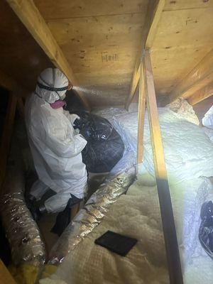 Insulation removal