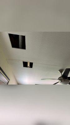 Ceiling openings