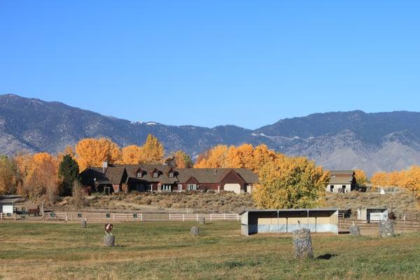 Cottonwood Creek Farm offers horse boarding in fields, private paddocks and barn.  More info & pictures at www.ccarabians.com