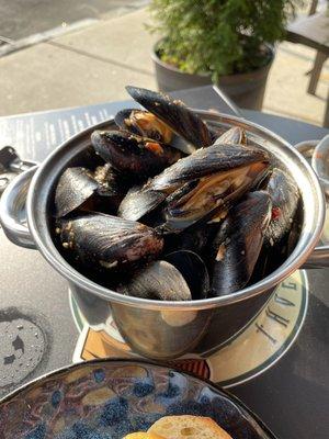 Mussels