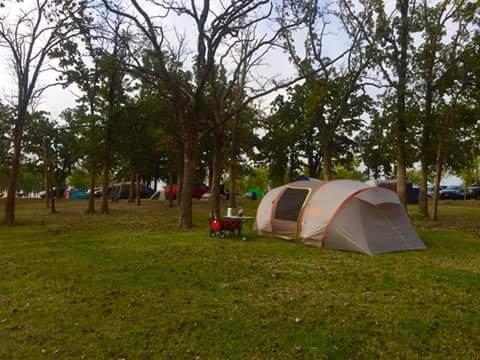 Plenty of trees and great tent camping locations right on the lake.