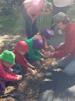 The Haytown Olders class busy at work planting seedlings in the Whittemore wildlife Sanctuary garden.