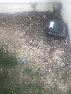 Rodenticide outside of bait station.