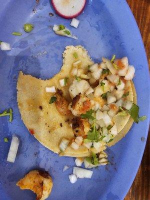 Shrimp Taco with only onion and cilantro