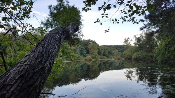 Lakeshore trail.