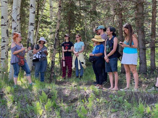 High elevation Herbal Walk