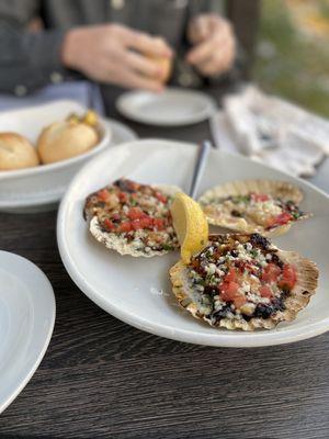 Bay Scallops on the Half Shell